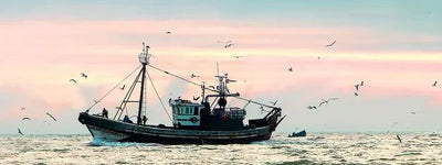 Sustainable seafood fishing minimizes negative impacts on the marine biome