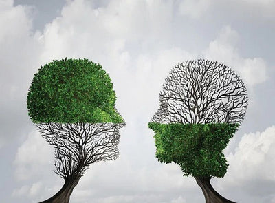 How your thoughts can influence the environment and vice versa