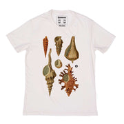 Organic Cotton Men's T-shirt - Shells